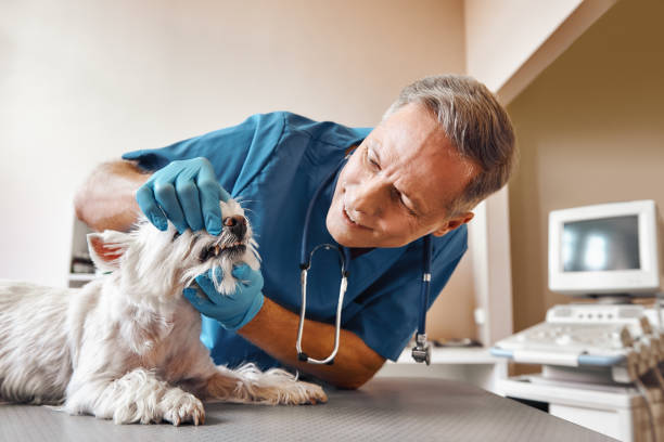 Best Emergency Tooth Extraction in Rio Bravo, TX