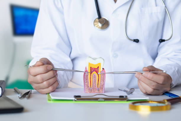 Best Urgent Care for Lost Fillings or Crowns in Rio Bravo, TX